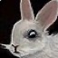 Icono del familiar conejo descomunal