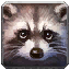 Icono del familiar mapache