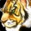 Icono del clan Tigris